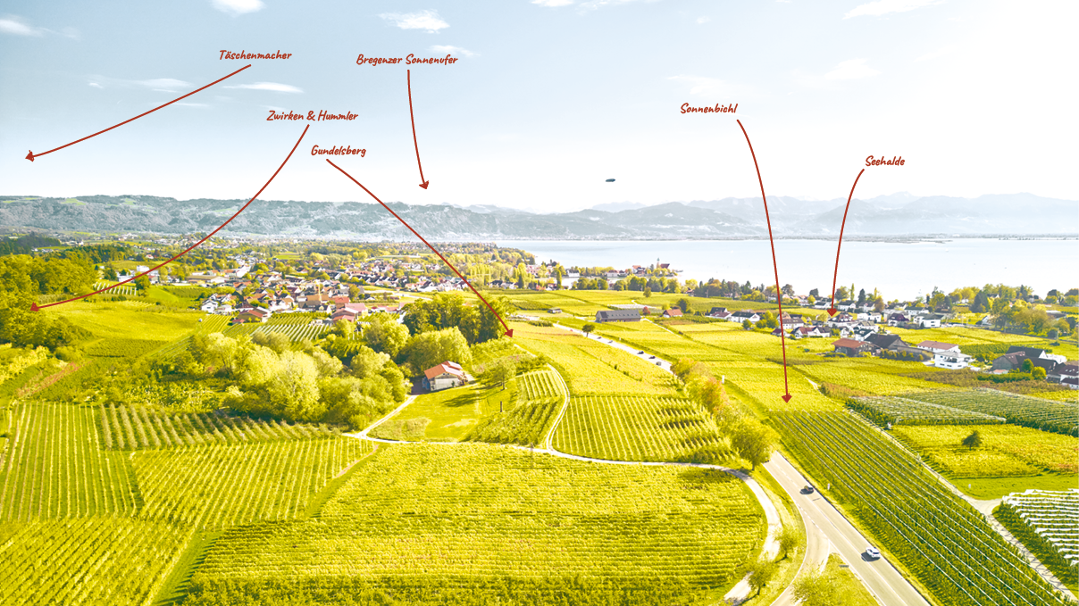 Lagenplan Weingut Hornstein