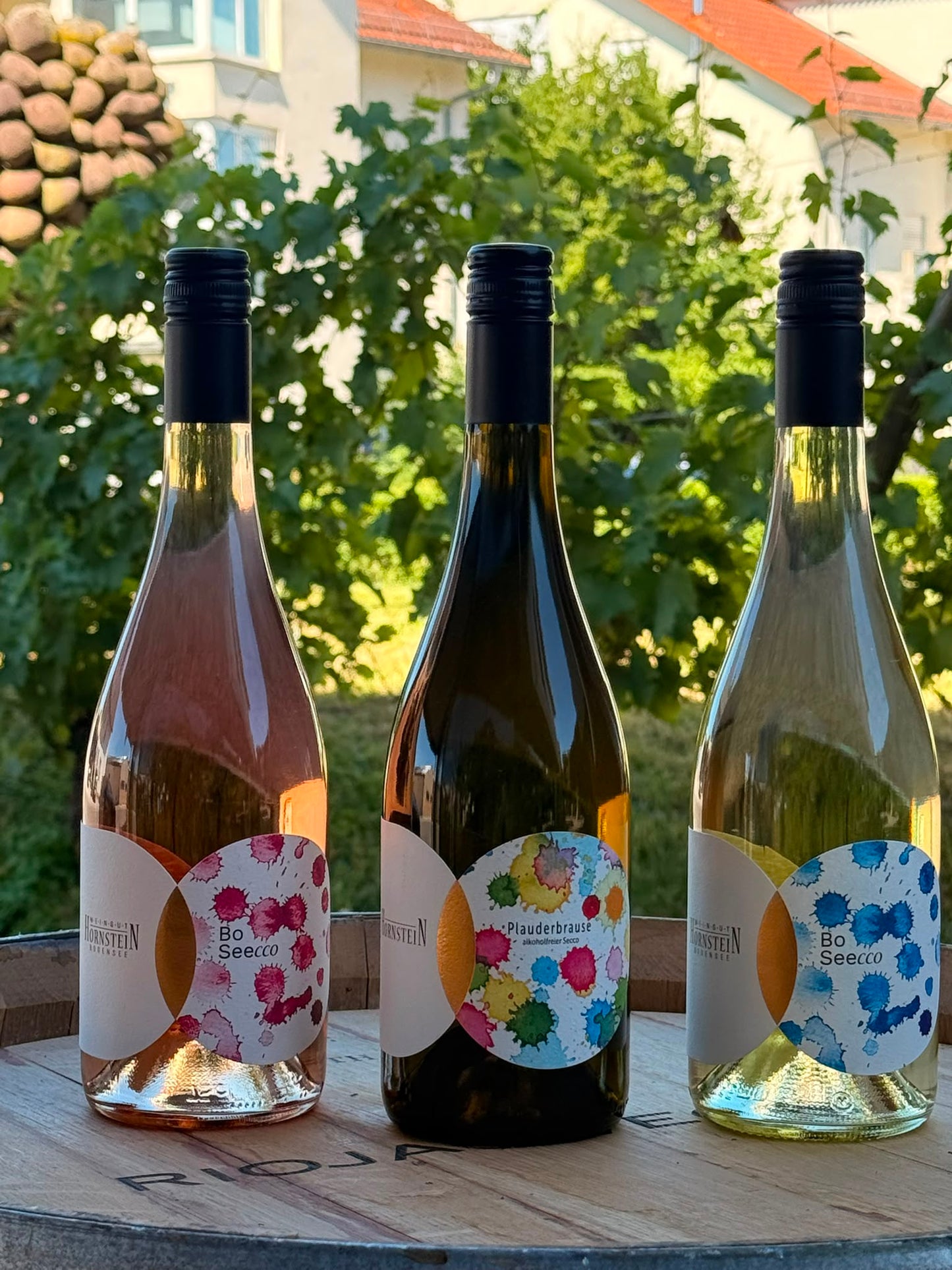 Plauderbrause | alkoholfrei