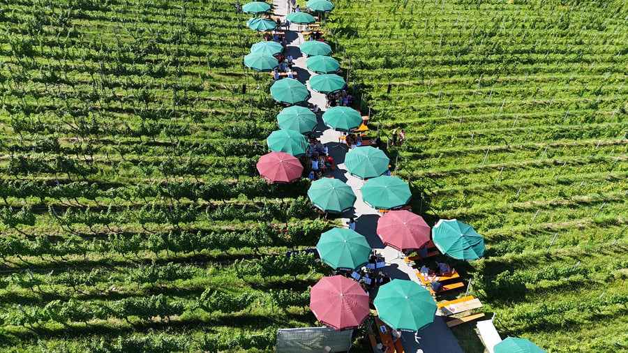 5. Lochauer Weinfest im Weinberg
