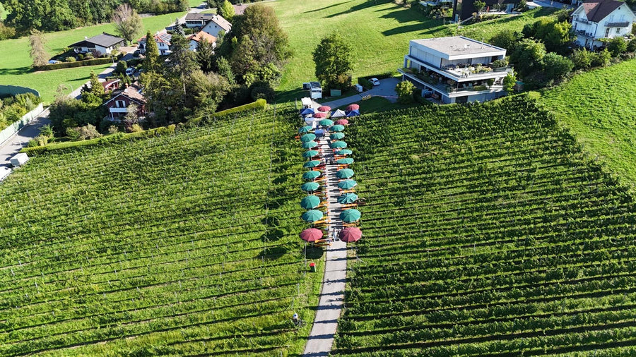 5. Lochauer Weinfest im Weinberg