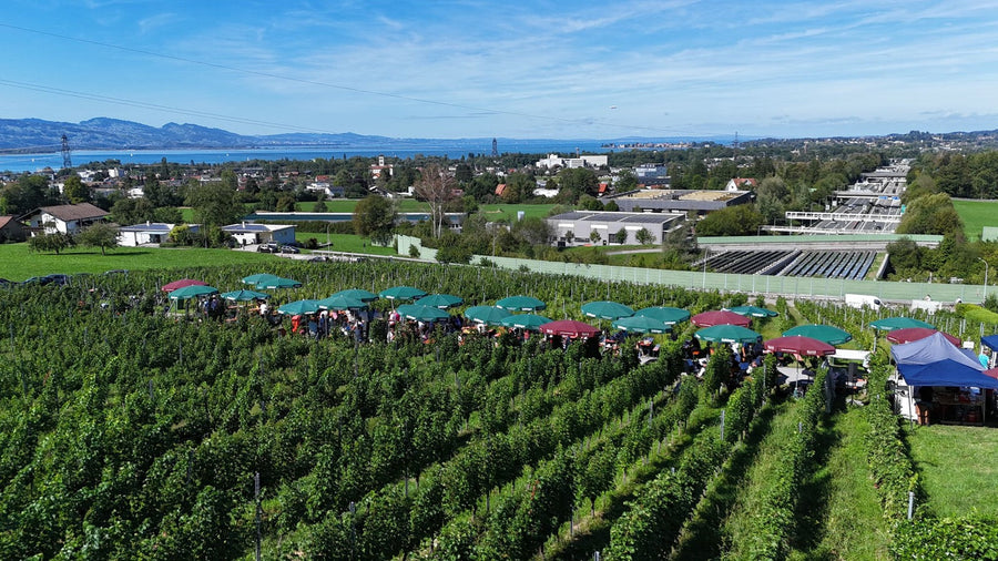 5. Lochauer Weinfest im Weinberg