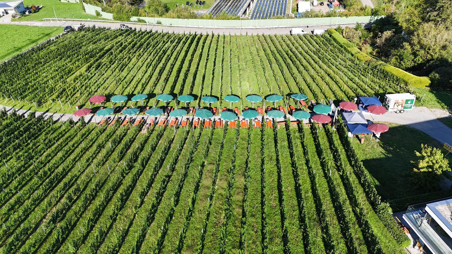 5. Lochauer Weinfest im Weinberg