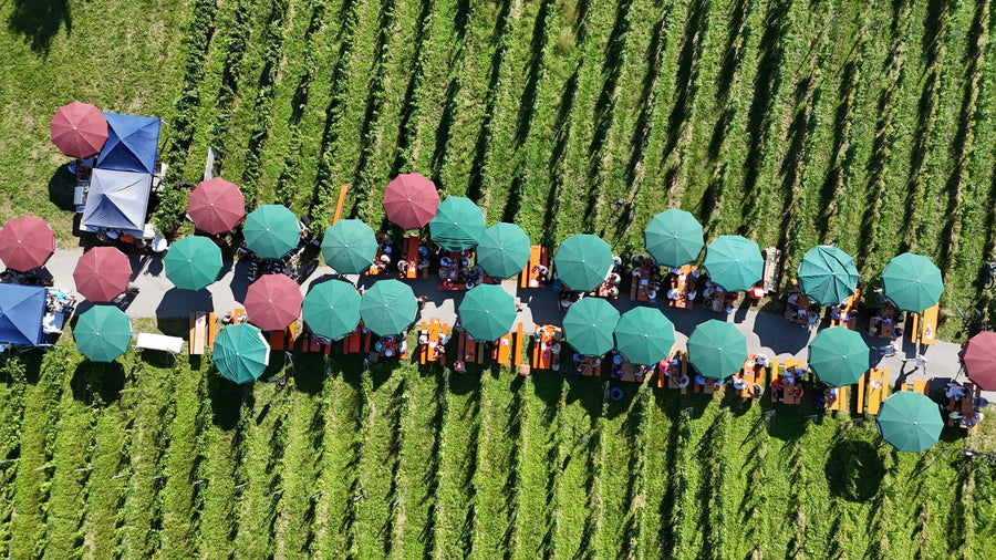 5. Lochauer Weinfest im Weinberg