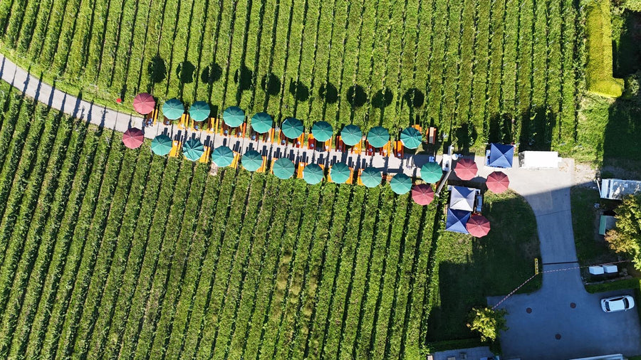 5. Lochauer Weinfest im Weinberg