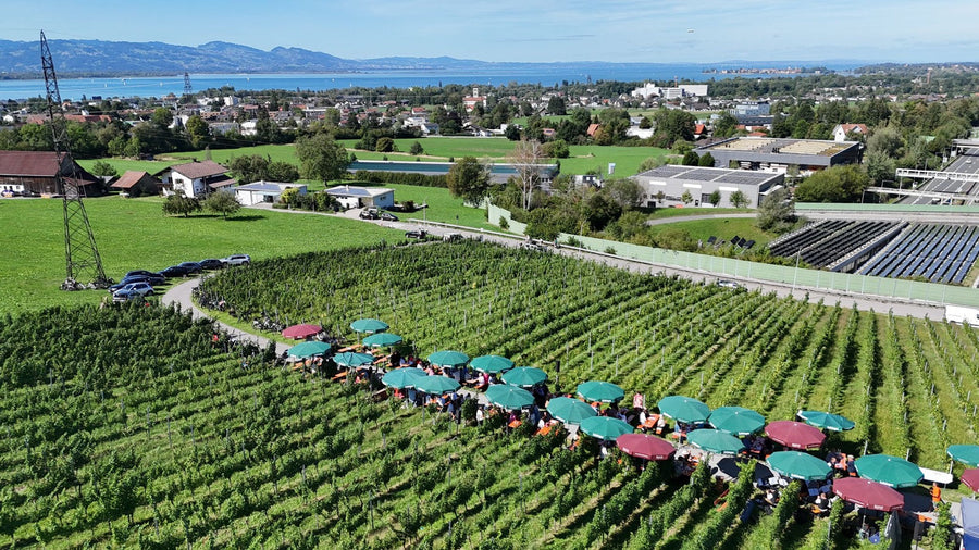 5. Lochauer Weinfest im Weinberg