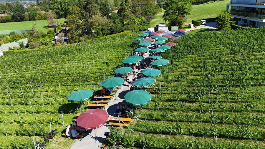 5. Lochauer Weinfest im Weinberg