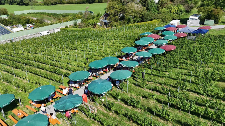5. Lochauer Weinfest im Weinberg