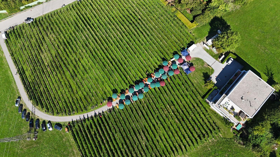 5. Lochauer Weinfest im Weinberg