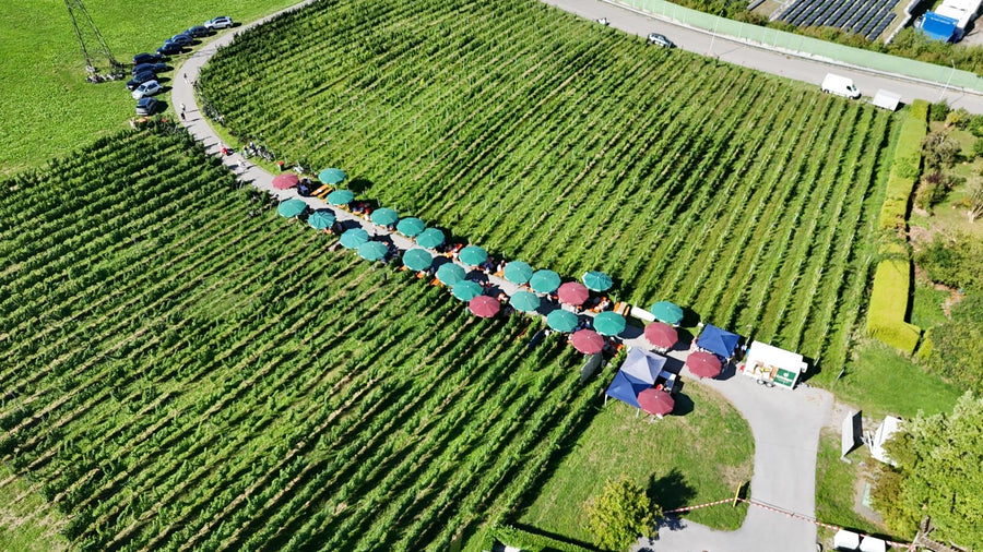 5. Lochauer Weinfest im Weinberg