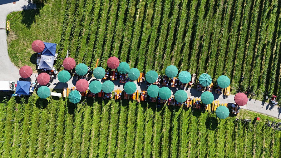 5. Lochauer Weinfest im Weinberg