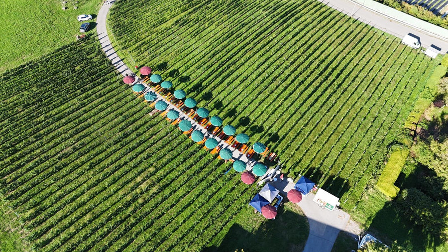 5. Lochauer Weinfest im Weinberg